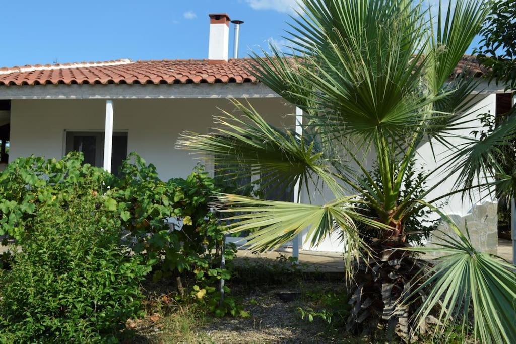 Litochoro Apartment In Estate A1 Kültér fotó