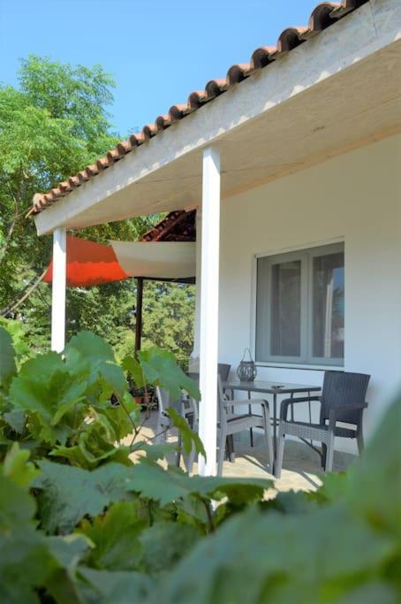 Litochoro Apartment In Estate A1 Kültér fotó