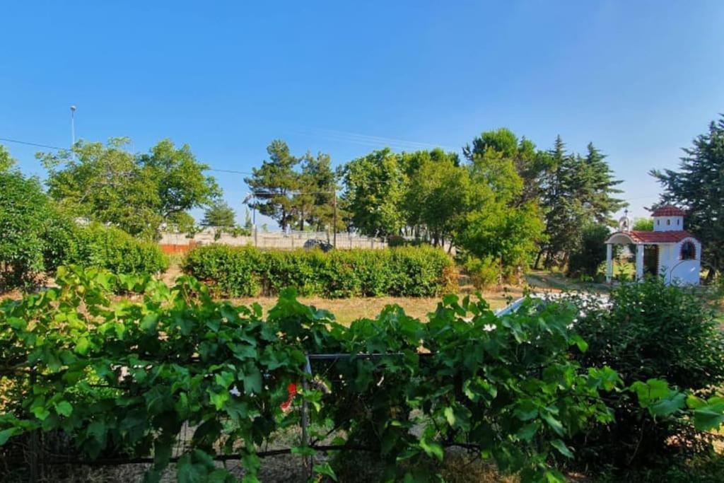 Litochoro Apartment In Estate A1 Kültér fotó